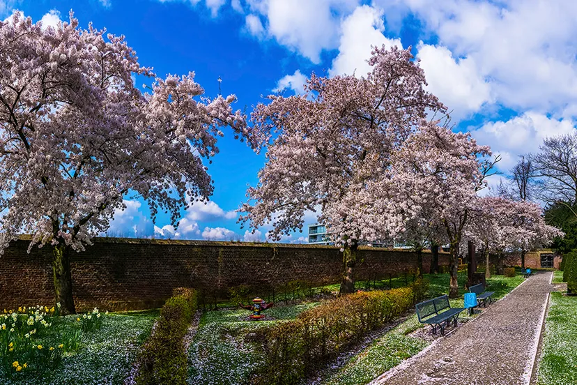 g9cayh1kkmi4jrymnvd01fi0o voorjaar in sittard libor bednarik stadstuin