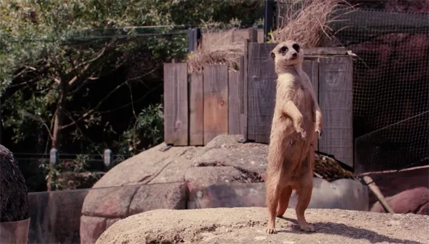 gastvrij limburg aflevering 4