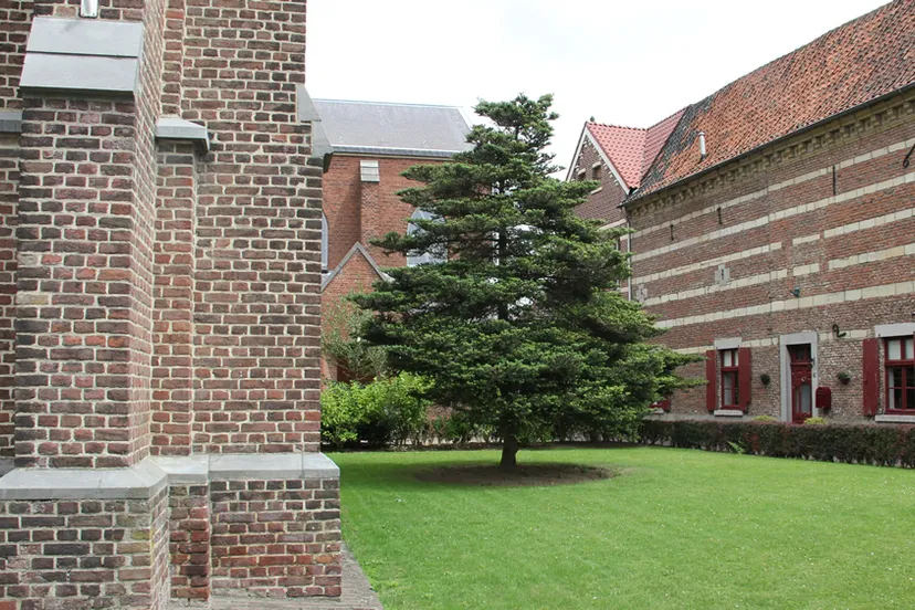 gds1flbhmz8hm4lmrpdb2t7ov oud geleen 06 16 9