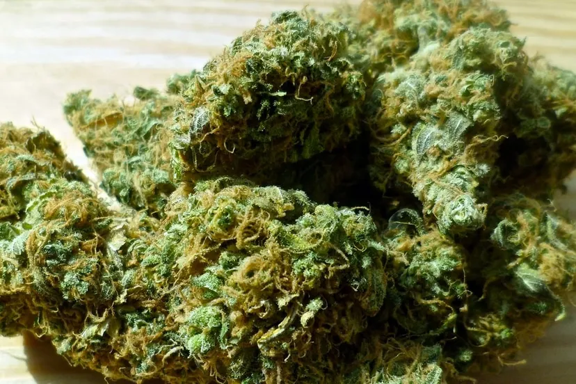 gedroogde hennep cc0 pixabay