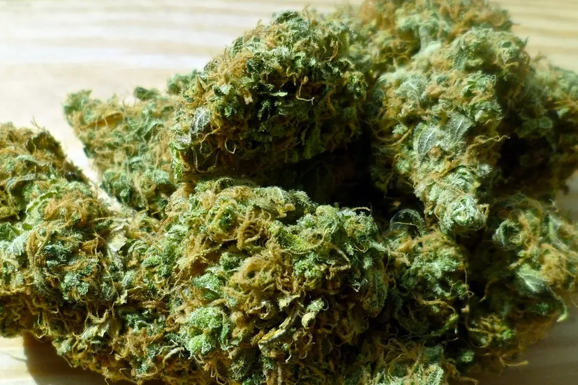 gedroogde hennep cc0 pixabay