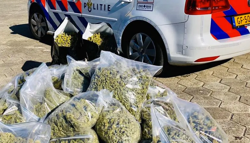 gedroogde henneptoppen handelscentrum bergerweg