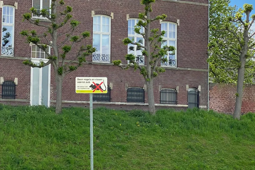 geen vogels en vissen voeren in sittard geleen