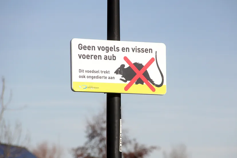 geen vogels en vissen voeren wegens ratten 1