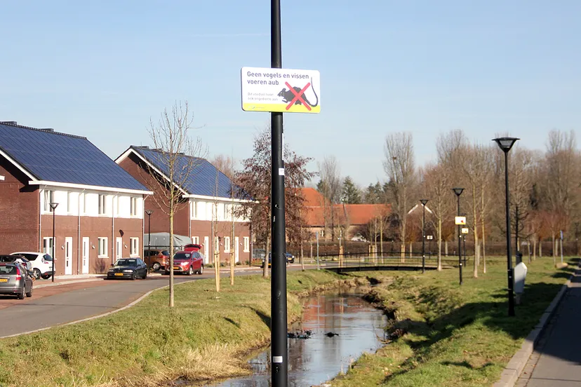 geen vogels en vissen voeren wegens ratten 2