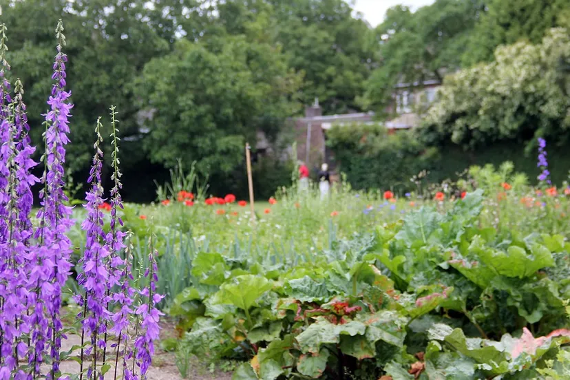 geheime tuinen agnetenberg