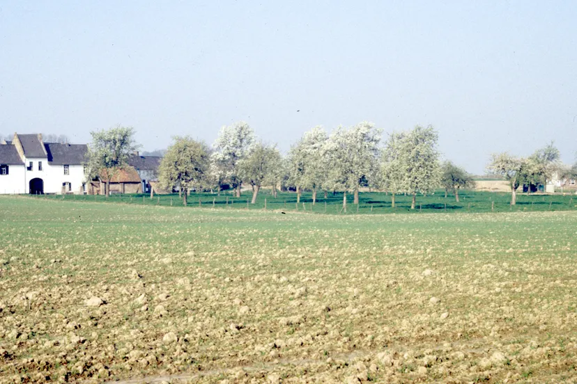 geheime tuinenwandeling lahrhof