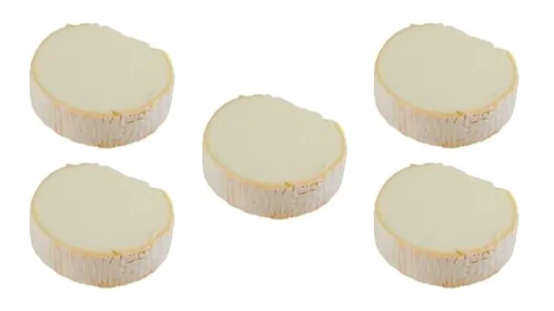 geitenkaasjes capra nv