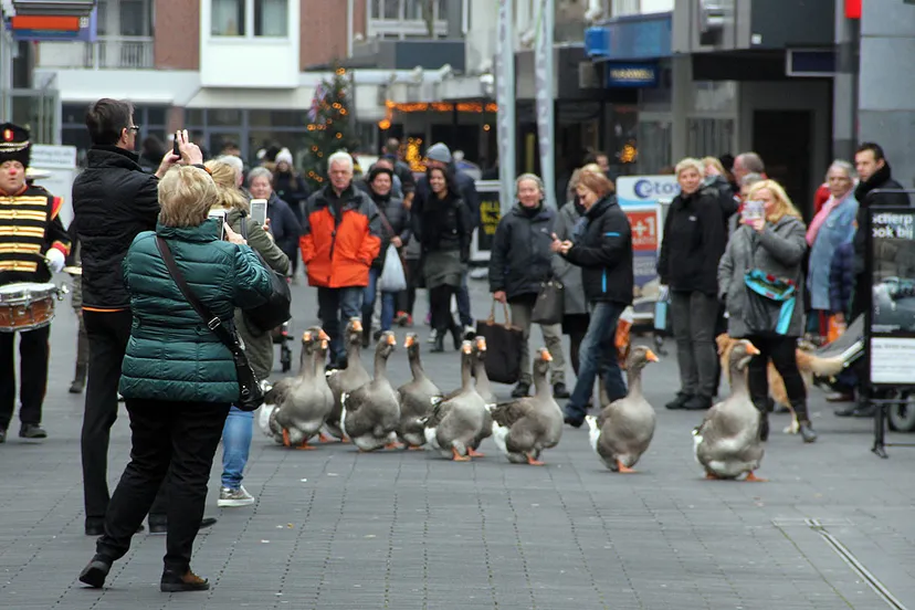 geleen loves london 2016 3