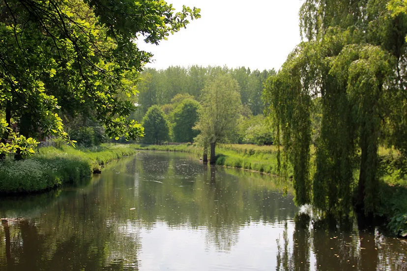 geleenbeek vanaf brug bij ophovenerhof mei 2016 nieuw
