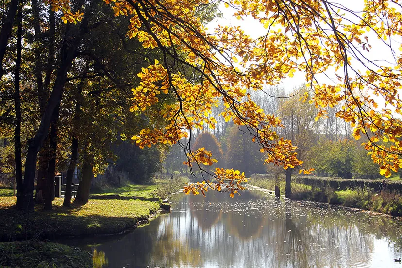 geleenbeekdal beek tussen middenweg en ophovenermolen