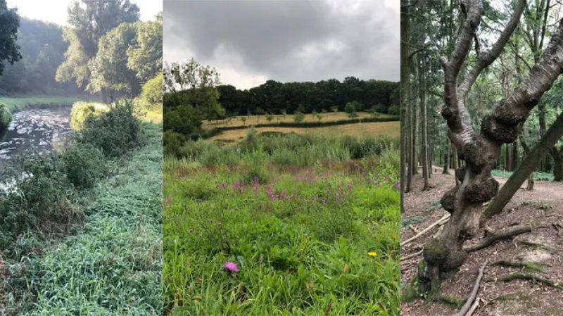 geleenbeekdal sweikhuizen fanclub lions wandeling