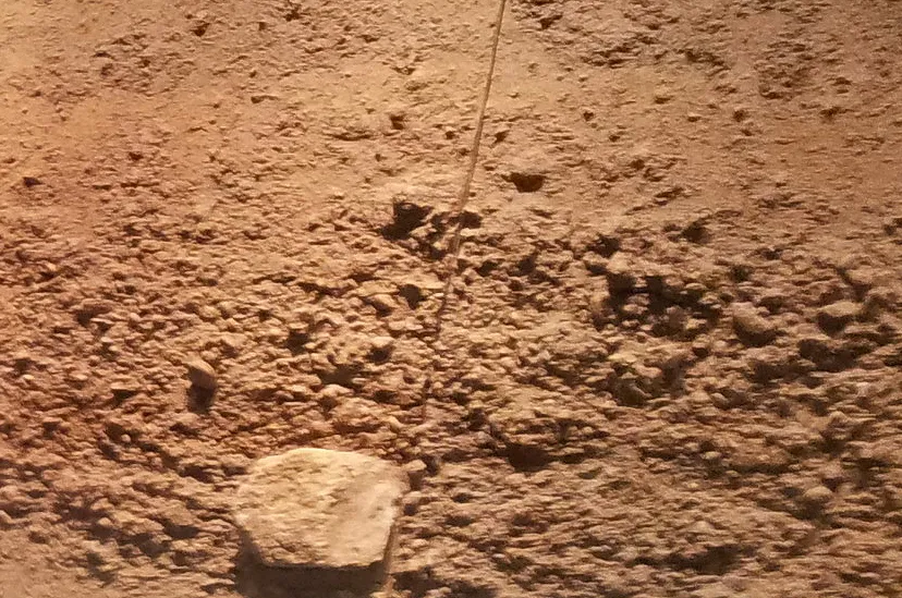 gereconstrueerd profiel deel via belgica kleon3 own work cc by sa 30 via wikimedia commons