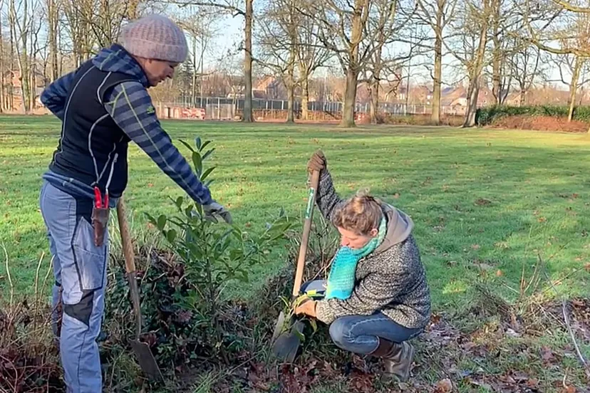 gered groen stadspark sittard