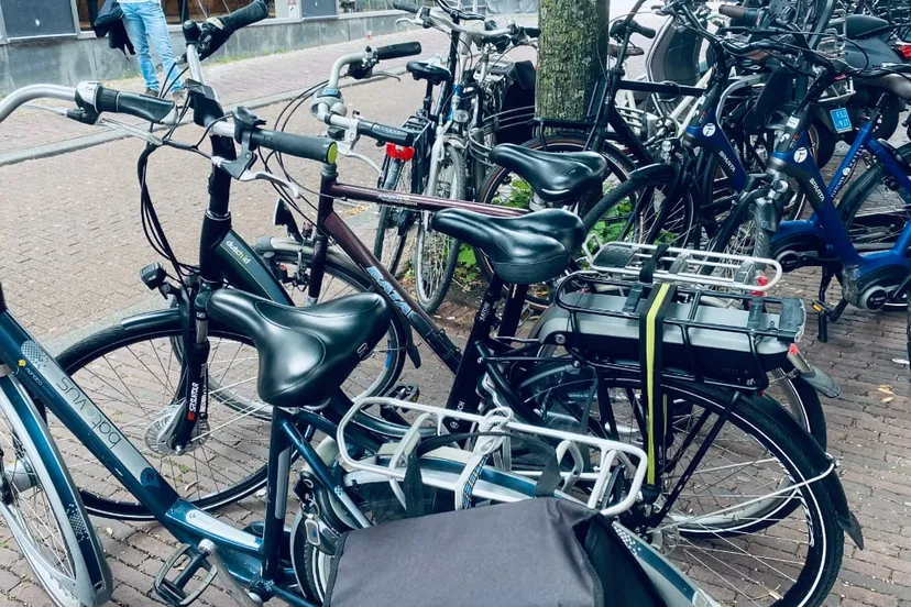 gewone fietsen en e bikes in sittard