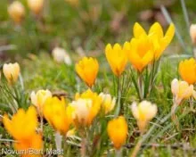 gf4ryhxnyidyn43crwhnw0h9o 222848