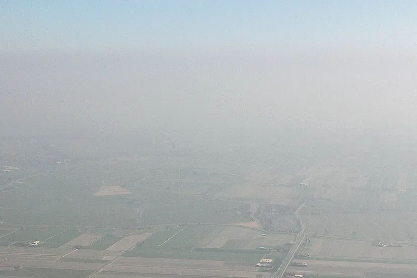 gisela gerson lohman braun cc by sa 20 smog voen de polder