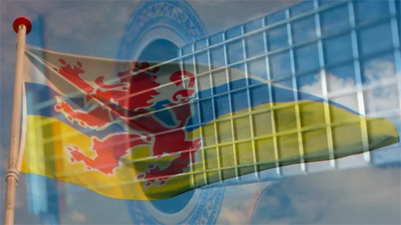 gitaar en limburgse vlag