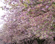 gj2yqibbups0feoqjapn1lh90 143652