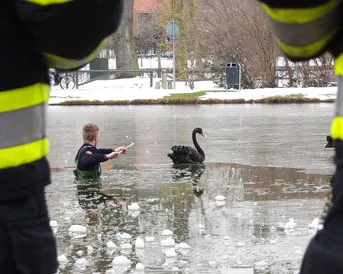 gjiz0a7xbfibayg8cya3x46n5 217983