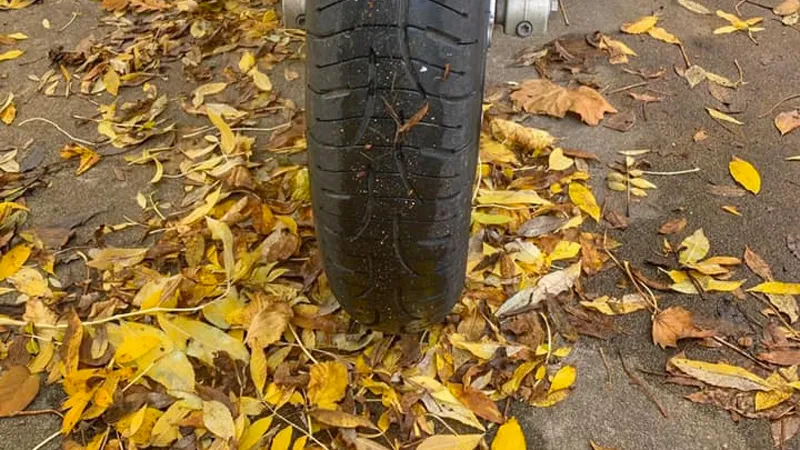 gladheid door bladeren fb politie