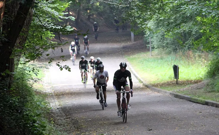 gladiolen 2016 kollenberg