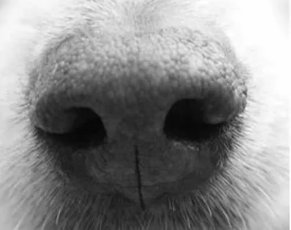 gm20ce18g3omtfjneux58obsb 152322