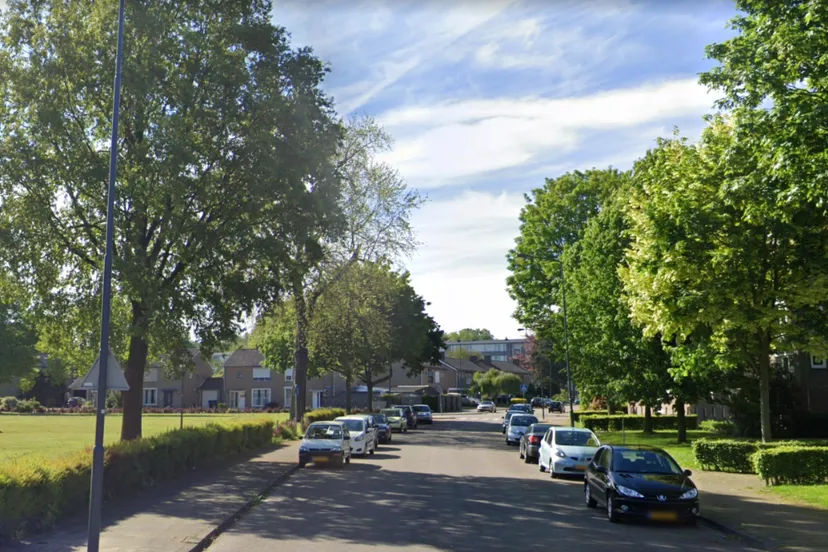 google beeldcitaat vrangendael sittard