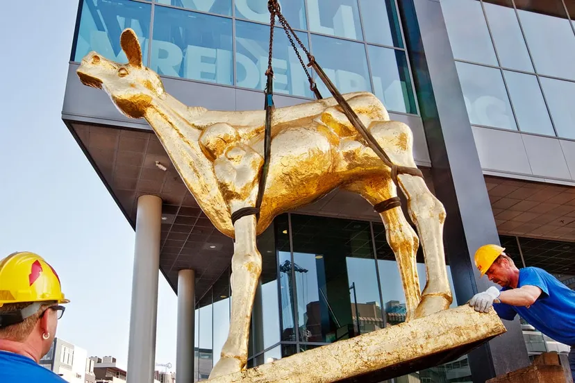 gouden kalf nederlands film festival