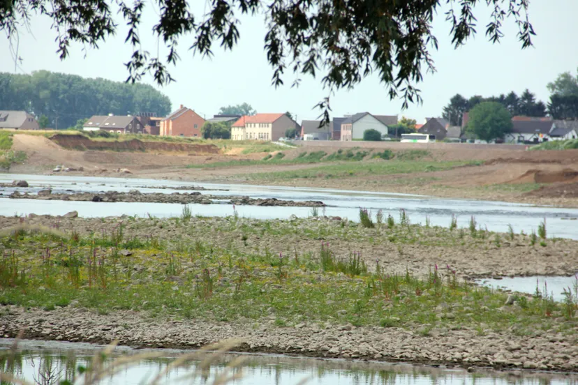 grensmaas bij grevenbicht
