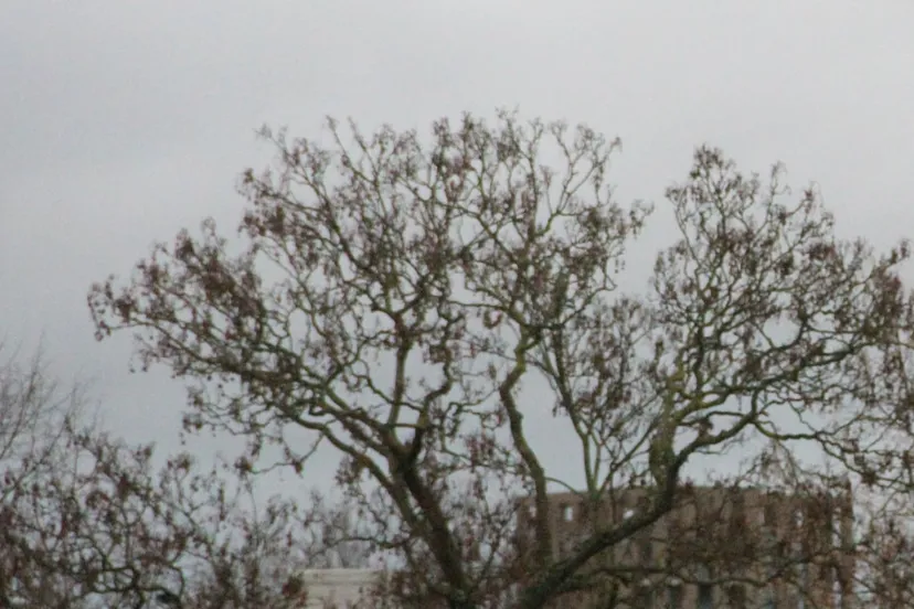 grijs grauw kil weer