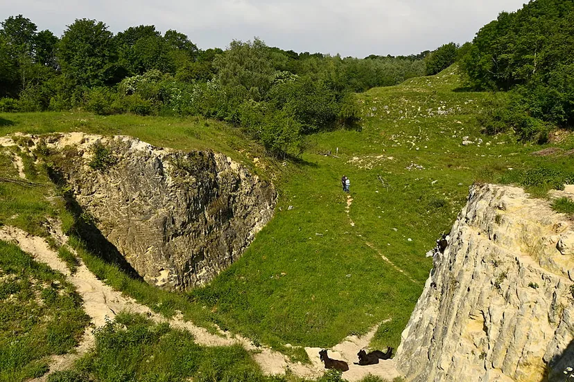 groeve blom henk heijligers