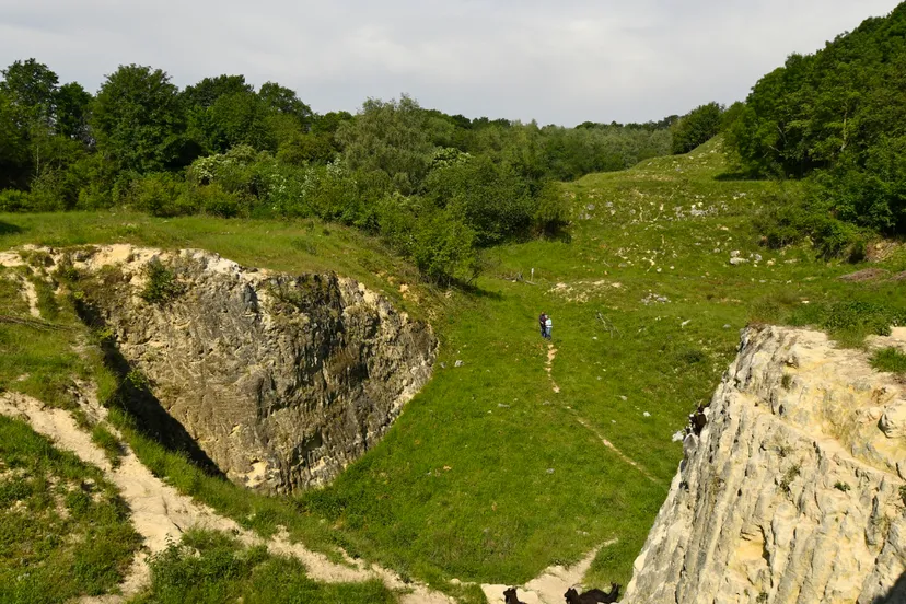 groeve blom hli3767jpg