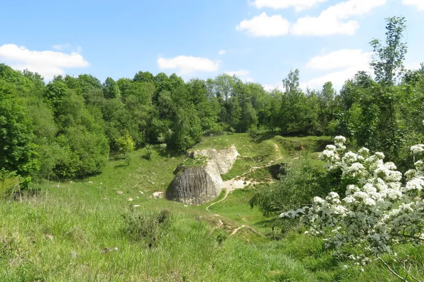 groeve blom img 5247 wilfred alblas 1