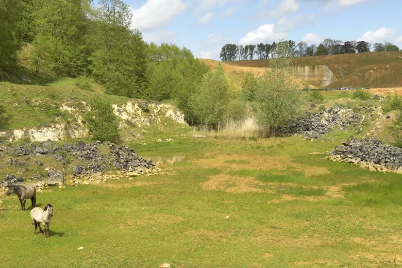 groeve t rooth henkheijligers hli0242