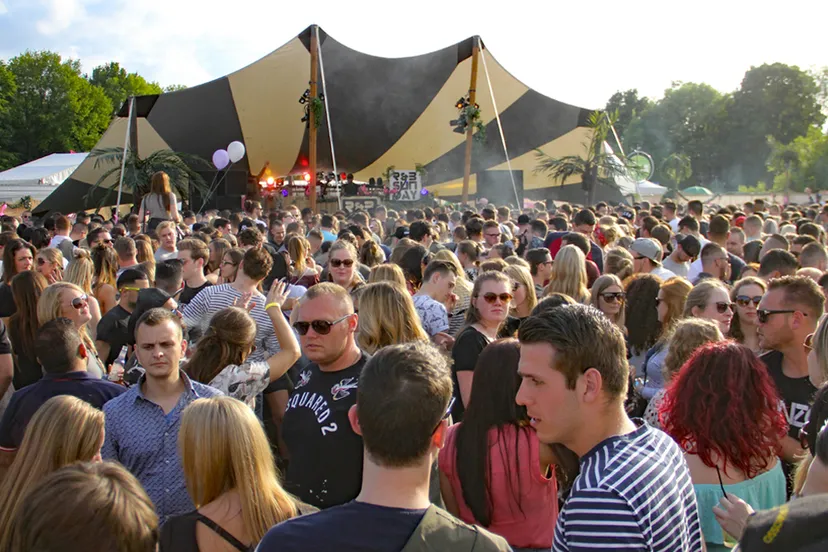 groove garden archiefoto