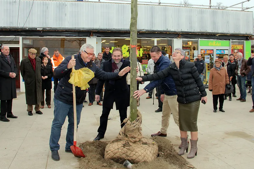 gx2i09spn87ez2zgincmr6yl5 zuidhof boom geplant