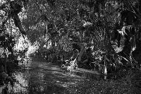 gyu5l9rda77m62z5bo28vc23w 144173