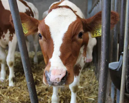 h0qq9fhe1hnjiyw6yxh3nyjnc 158572