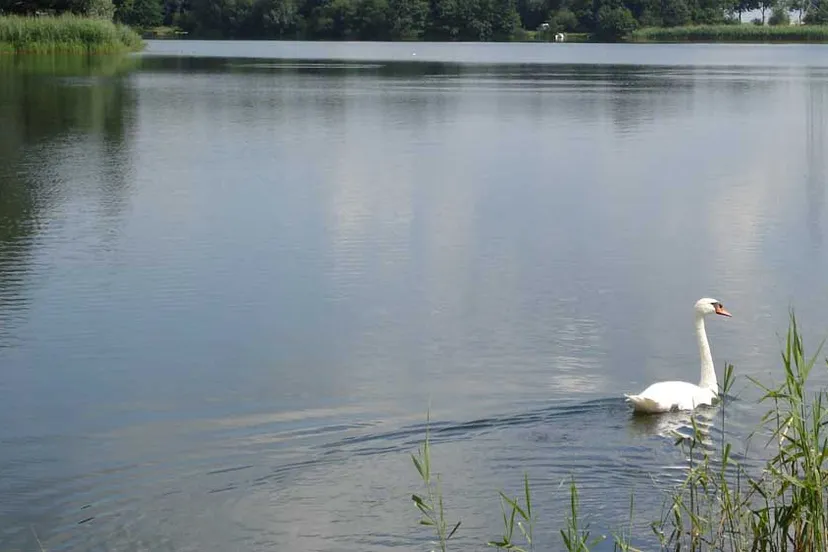 h79ci3sfzj2rvygkz1egysp4v zwemwater