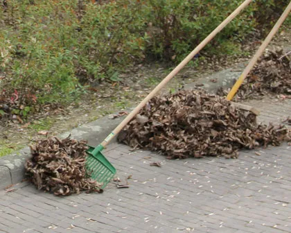 h7hmx1rylbcaeiye4a74nfg86 131094