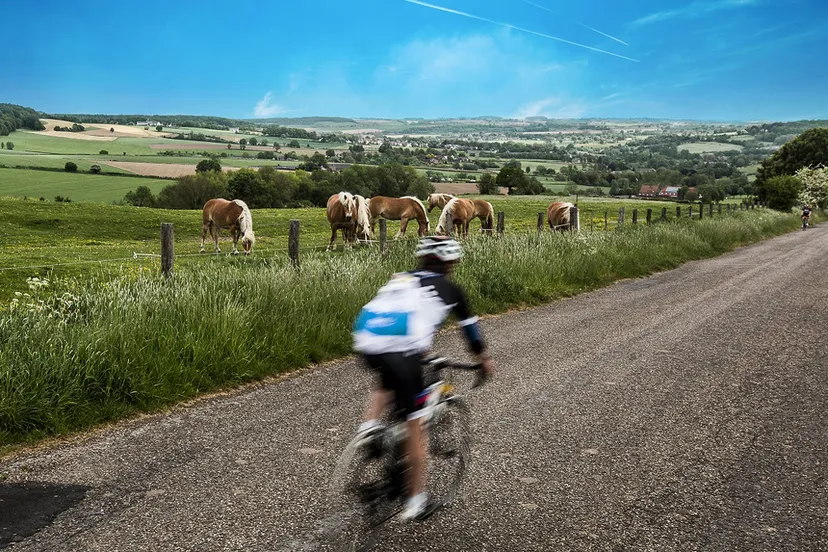 hago limburgs mooiste lr