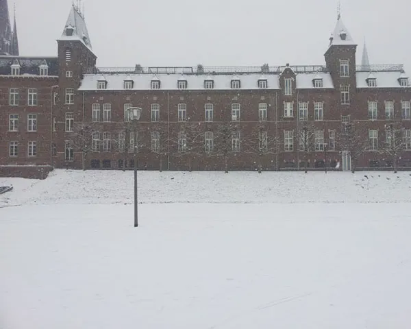 ham7qxkppk4sogasm1htwgxha 203875