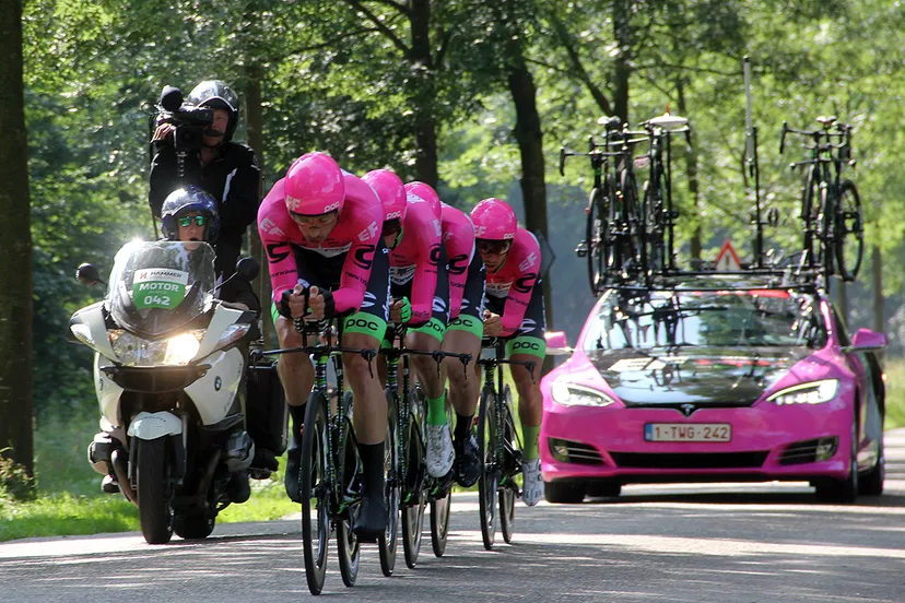 hammer limburg chase