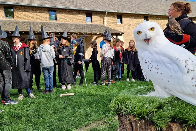 harry potter weekend uil