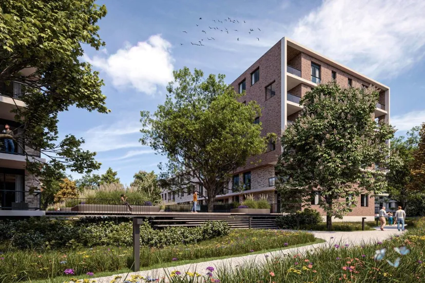 hart voor sittard inpressie xr group 2 1