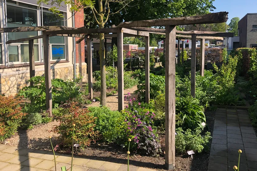 heemelrijk tuin jupiter 2024