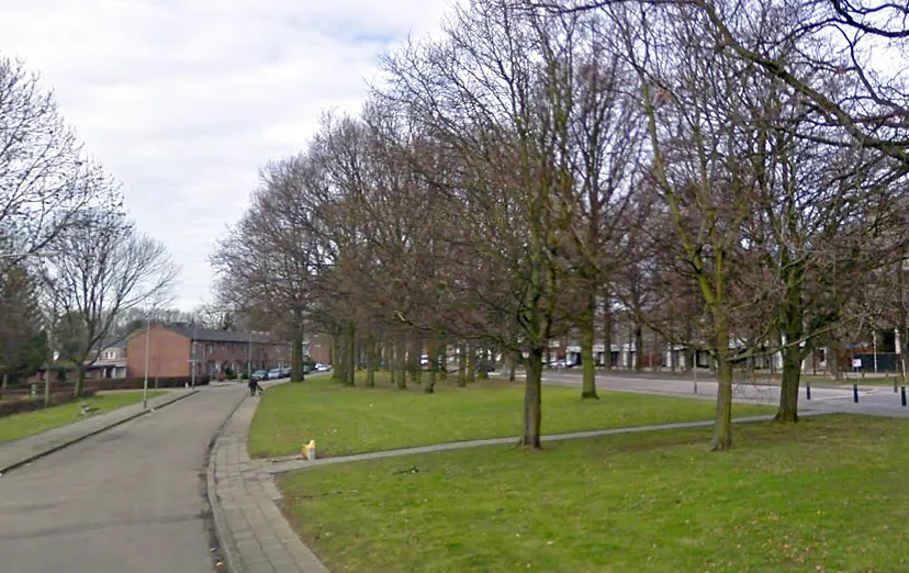 hemelsley parallelweg