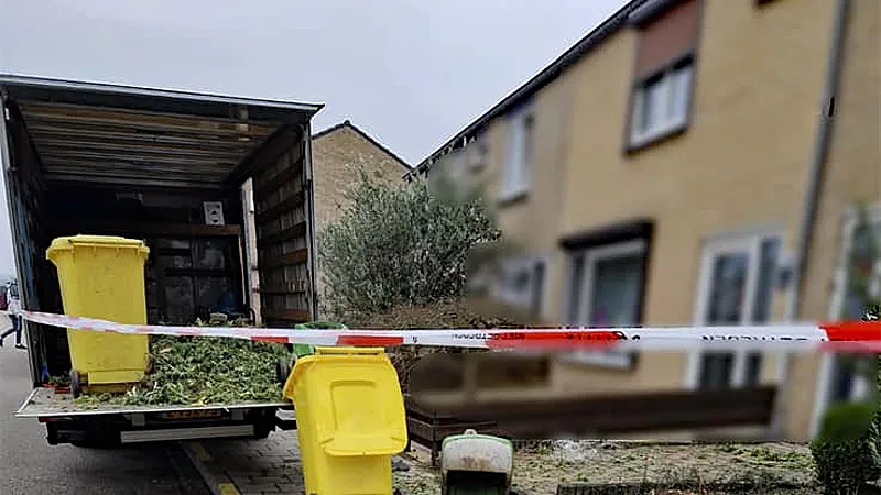 hennepplantage geruimd in sittard