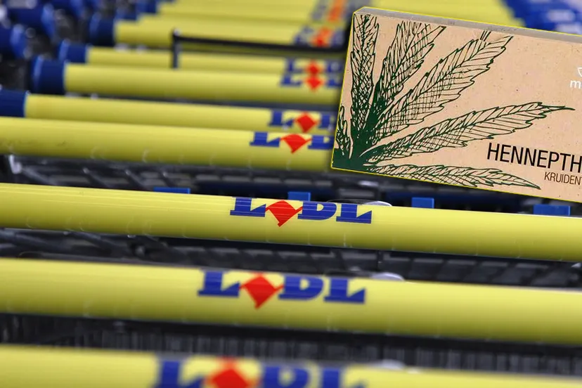 hennepthee en lidl karretjes by onderwijsgek own work cc by sa 30